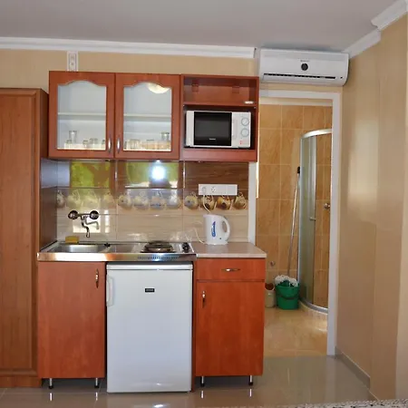 Zenit Apartment *