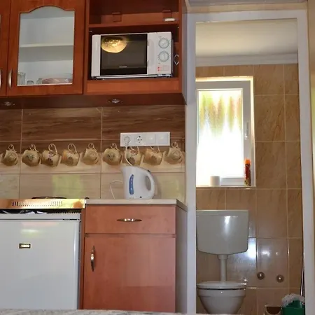 Zenit Apartment *