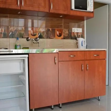 Zenit Apartment *