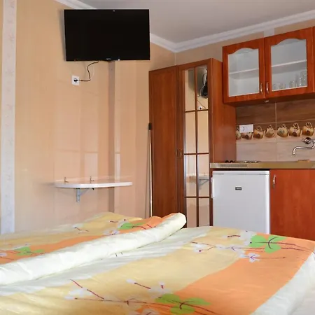 Apartment Zenit