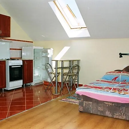 Apartment Zenit