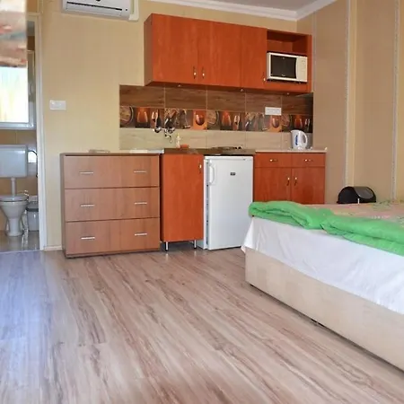 Zenit Apartment *